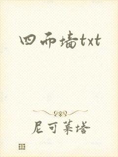四面墙txt