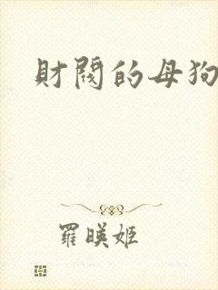 财阀的母狗们