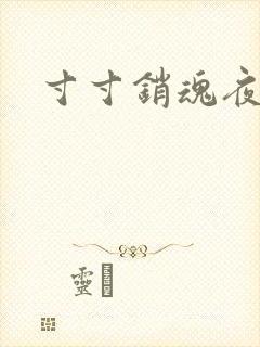 寸寸销魂夜春光