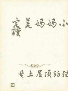 完美妈妈小说阅读
