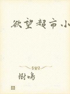 欲望超市小说