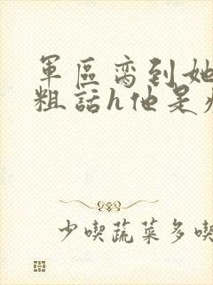 军区脔到她哭h粗话h他是疯批