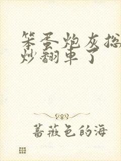 笨蛋炮灰总被爆炒翻车了