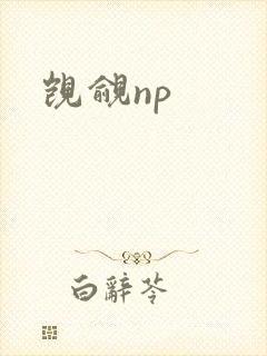 觊觎np