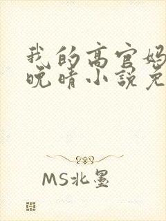 我的高官妈妈苏晚晴小说免费阅读