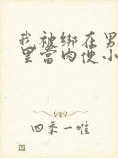 我被绑在男公厕里当肉便小说