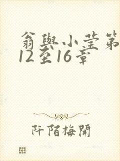 翁与小莹第十部12至16章