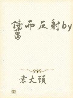 镜面反射by九葛