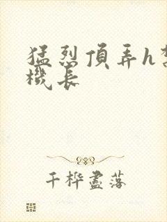 猛烈顶弄h禁欲机长