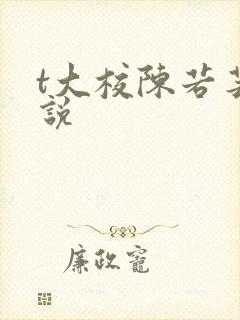 t大校陈若芸小说