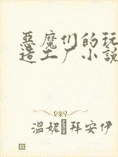 恶魔们的玩具改造工厂小说