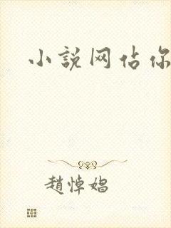 小说网站你懂的