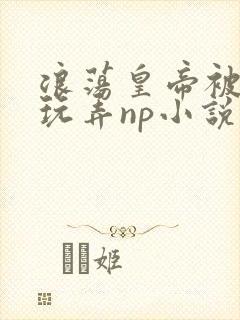 浪荡皇帝被多人玩弄np小说