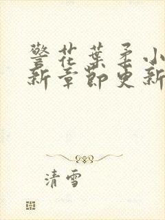 警花叶柔小说最新章节更新