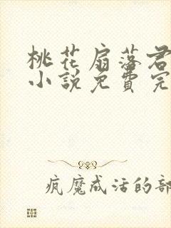 桃花扇落君不还小说免费完整版