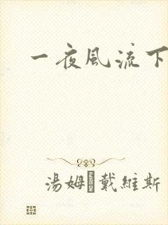 一夜风流下载