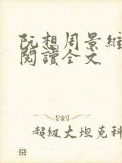 阮想周景维免费阅读全文