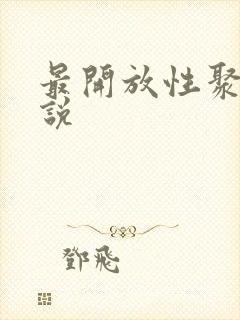 最开放性聚会小说