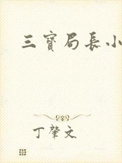 三宝局长小说