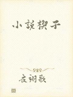 小说楔子