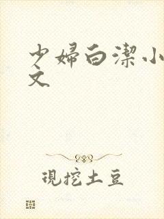 少妇白洁小说全文