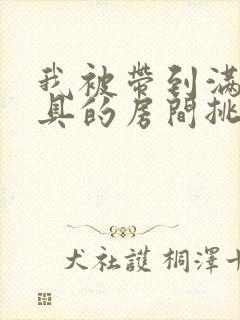 我被带到满是玩具的房间挑调游戏