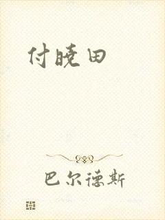 付晓田