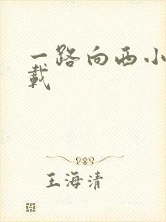 一路向西小说下载