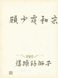 顾少霆和宋斯曼