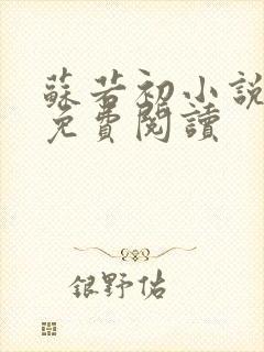 苏若初小说全文免费阅读