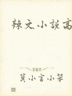 辣文小说高h