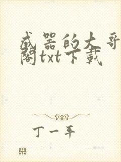 成器的大哥笔趣阁txt下载