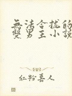 无法合拢的总裁双男主小说