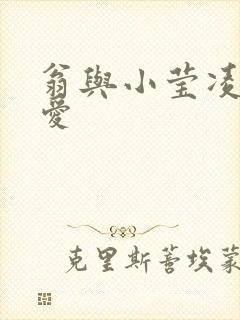 翁与小莹凌晨欢爱