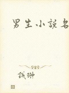 男生小说名字