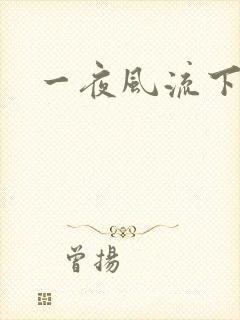一夜风流下载