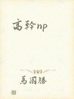 高干np