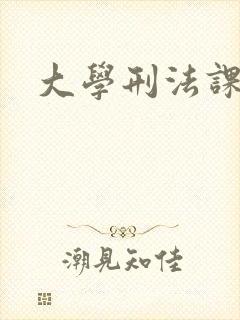 大学刑法课