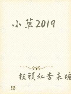 小草2019