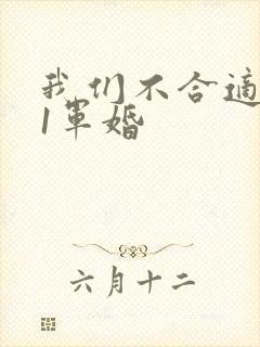我们不合适1v1军婚
