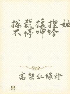 总裁揉捏她两乳不停呻吟