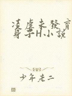 凌虐未发育的小身子H小说