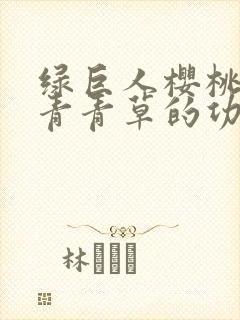 绿巨人樱桃荔枝青青草的功效