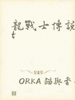 龙战士传说txt