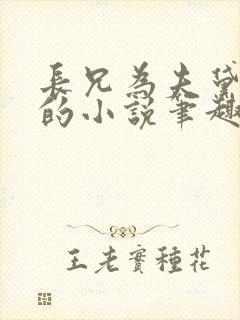 长兄为夫黛珂妃的小说笔趣阁全文