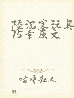 陆沉塞玩具高速75章原文