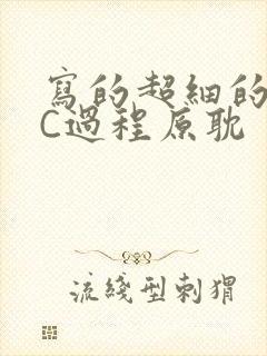 写的超细的多肉C过程原耽