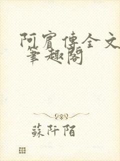 阿宾传全文阅读 笔趣阁