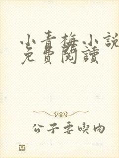 小青梅小说全文免费阅读