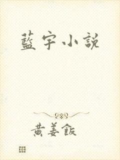 蓝宇小说
